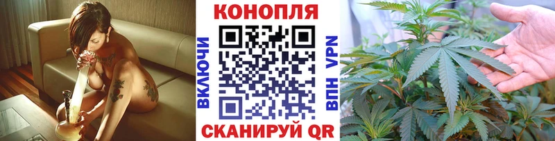 Конопля AK-47  Ковдор 